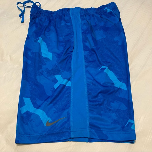 Nike Dri Fit Athletic Shorts Size Large - Picture 1 of 5